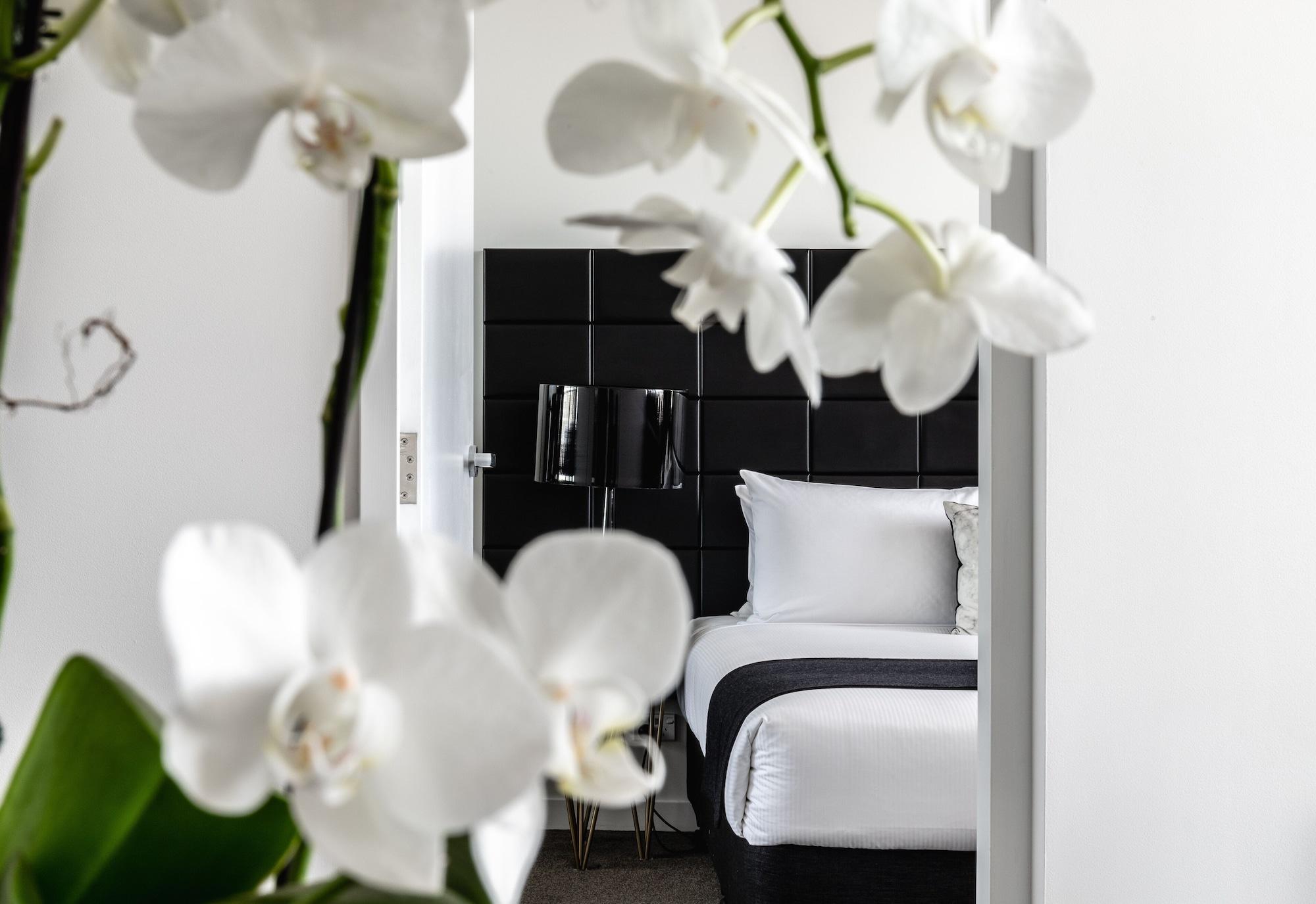 Silkari Suites At Chatswood Сидни Екстериор снимка